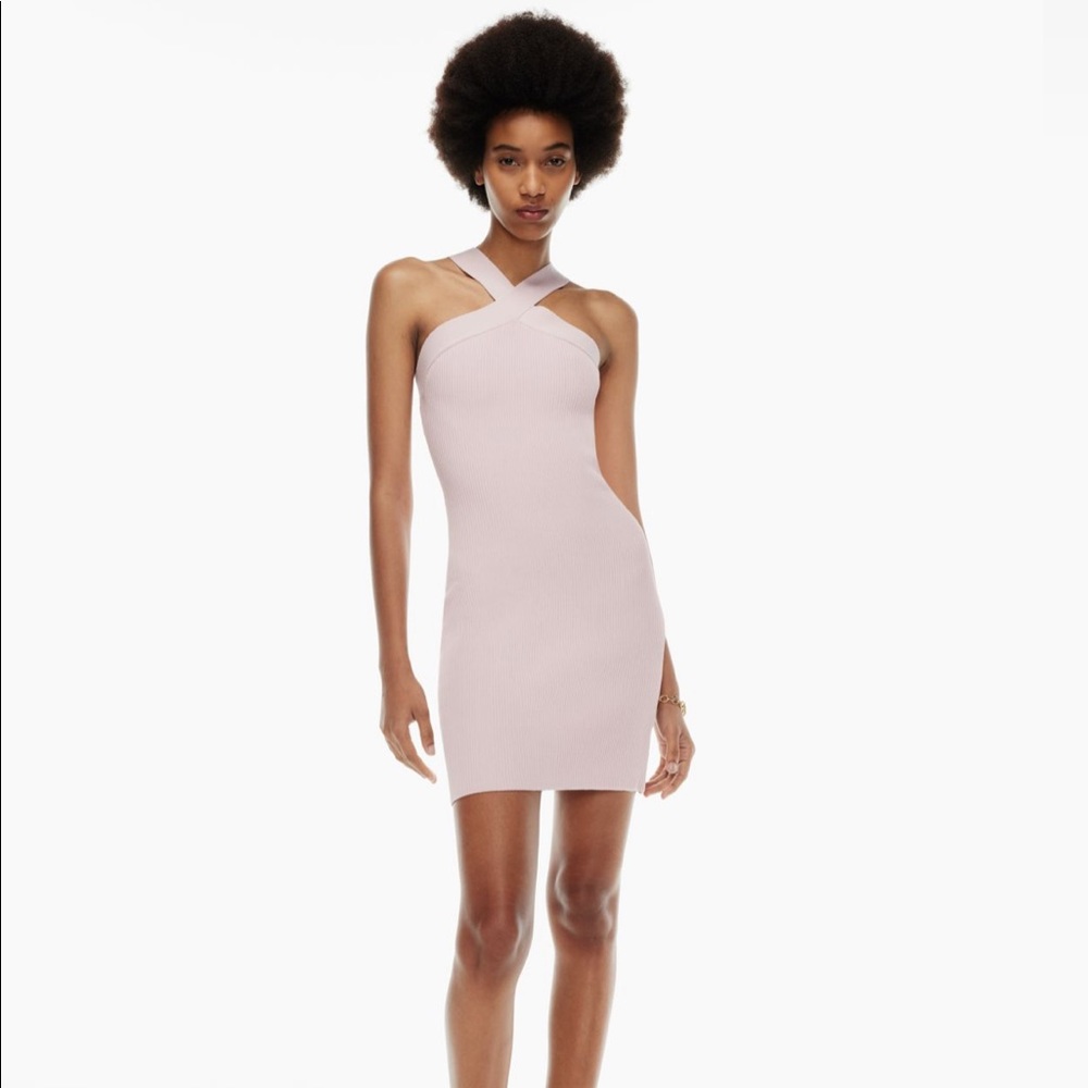 Aritzia Babaton Sculpt Knit Dress
